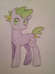 Size: 966x1288 | Tagged: safe, artist:ponime11, spike, pony, g4, male, ponified, ponified spike, solo, traditional art