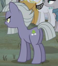 Size: 307x344 | Tagged: safe, screencap, limestone pie, earth pony, pony, g4, hearthbreakers, butt, cropped, plot