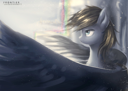 Size: 3937x2780 | Tagged: safe, artist:aidelank, oc, oc only, pegasus, pony, female, high res, mare, rainbow, solo, spread wings, wings