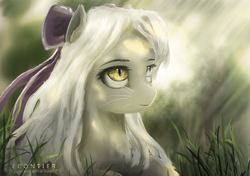 Size: 5906x4169 | Tagged: safe, artist:aidelank, oc, oc only, earth pony, pony, absurd resolution, bow, female, grass, heterochromia, mare, slit pupils, solo, sunlight, whiskers