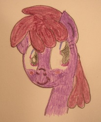 Size: 1153x1401 | Tagged: safe, artist:barryfrommars, berry punch, berryshine, g4, blushing, traditional art