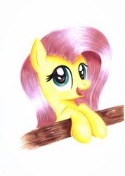 Size: 1024x1441 | Tagged: safe, artist:koniareczka10, fluttershy, pegasus, pony, g4, bust, cute, female, leaning, looking at you, mare, open mouth, portrait, shyabetes, simple background, smiling, solo, traditional art, white background