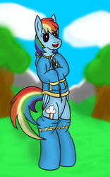 Size: 1588x2538 | Tagged: safe, artist:tacomytaco, rainbow dash, pegasus, pony, g4, belly button, bipedal, bottomless, clothes, female, hoodie, partial nudity, socks, solo