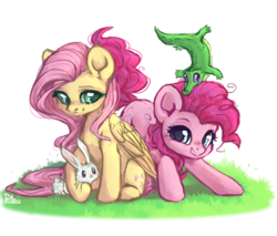 Size: 2000x1706 | Tagged: safe, artist:graypillow, angel bunny, fluttershy, gummy, pinkie pie, alligator, earth pony, pegasus, pony, rabbit, g4, animal, cute, diapinkes, duo, female, grass, kinetic contrast, looking at you, mare, shyabetes, simple background, transparent background