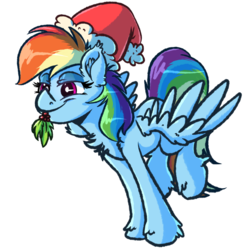 Size: 1024x1024 | Tagged: safe, artist:witchtaunter, rainbow dash, pegasus, pony, g4, chest fluff, christmas, cute, dashabetes, ear fluff, female, hat, holiday, holly, holly mistaken for mistletoe, lidded eyes, mare, mouth hold, santa hat, simple background, smiling, solo, spread wings, transparent background, wings