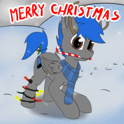 Size: 1743x1742 | Tagged: safe, artist:junz, oc, oc only, oc:juchun, antlers, candy, candy cane, christmas, christmas lights, clothes, food, holiday, holly, merry christmas, reindeer antlers, scarf, snow