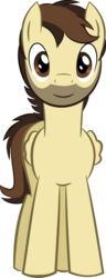 Size: 959x2499 | Tagged: safe, artist:perplexedpegasus, oc, oc only, pegasus, pony, 2018 community collab, derpibooru community collaboration, male, simple background, stallion, transparent background