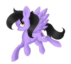 Size: 2370x2124 | Tagged: safe, artist:beashay, oc, oc only, oc:quilly, pegasus, pony, female, high res, mare, simple background, solo, transparent background