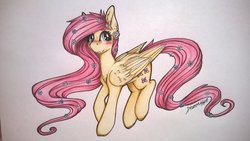 Size: 1024x577 | Tagged: safe, artist:dexterisse, fluttershy, pegasus, pony, g4, blushing, female, flower, flower in hair, flower in tail, folded wings, freckles, looking at you, smiling, solo, standing, traditional art