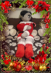 Size: 955x1350 | Tagged: safe, artist:bigsexyplush, artist:somethingaboutoctavia, octavia melody, earth pony, anthro, g4, anthro plushie, bed, bedroom eyes, belt, candy, candy cane, card, christmas, christmas card, christmas stocking, clothes, costume, cute, doll, dress, food, hearth's warming, hearth's warming eve, holiday, irl, photo, plushie, socks, socktavia, stockings, thigh highs, thunder thighs, toy, wide hips