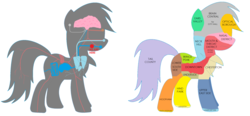 Size: 2200x1023 | Tagged: safe, artist:lukington17, artist:rdibp, rainbow dash, pony, fanfic:a small issue, g4, anatomy, anatomy chart, chart, city, diagram, fanfic, fanfic art, female, map, simple background, solo, white background, x-ray