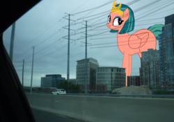 Size: 2141x1505 | Tagged: safe, artist:oceanrailroader, somnambula, pony, g4, giant pony, irl, macro, photo, ponies in real life