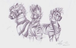 Size: 1024x650 | Tagged: safe, artist:alexacana, oc, oc only, zebra, brothers, clothes, grayscale, headband, jewelry, male, monochrome, necklace, next generation, scarf, simple background, stallion, traditional art, white background, zebra oc