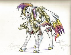 Size: 1024x799 | Tagged: safe, artist:alexacana, oc, oc only, pegasus, pony, armor, bandage, male, next generation, scar, solo, stallion, traditional art, wing armor