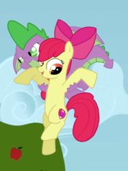 Size: 1150x1534 | Tagged: safe, artist:dsfranch, apple bloom, spike, pony, g4, molt down, cutie mark, female, filly, flying, holding a pony, male, ship:spikebloom, shipping, sky, straight, the cmc's cutie marks, winged spike, wings