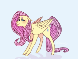 Size: 1023x782 | Tagged: safe, artist:liquorie, fluttershy, pegasus, pony, g4, beanbrows, eyebrows, female, floppy ears, folded wings, full body, looking at you, mare, simple background, solo, standing, white background, wings