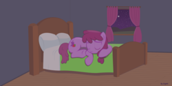 Size: 1776x888 | Tagged: safe, artist:bradleyeighth, berry punch, berryshine, earth pony, pony, g4, author:anonpencil, bags under eyes, bed, bedroom, comforting, constellation, cute, eyes closed, female, lying down, mare, night, sad, sick, simple background, sleeping, solo, vector