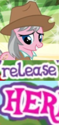 Size: 158x336 | Tagged: safe, gameloft, wrangler, earth pony, pony, g4, caption, expand dong, exploitable meme, female, hat, image macro, mare, meme, solo, wow! glimmer