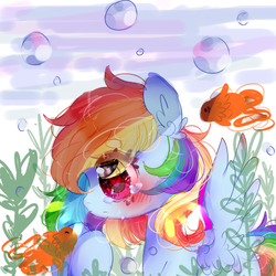 Size: 512x512 | Tagged: safe, artist:magicangelstarartist, rainbow dash, fish, pegasus, pony, g4, female, mare, multicolored hair, underwater