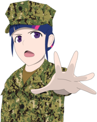 Size: 1120x1409 | Tagged: safe, artist:totallynotabronyfim, twilight sparkle, human, g4, camouflage, clothes, female, hat, humanized, military, military uniform, navy, solo, uniform