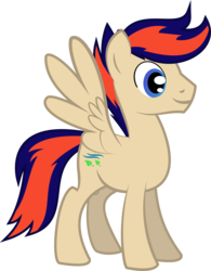Size: 2471x3176 | Tagged: safe, artist:deployerfullgeek, oc, oc only, oc:zephyr leaf, pegasus, pony, cutie mark, high res, simple background, solo, transparent background, wings
