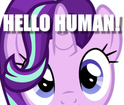 Size: 1024x866 | Tagged: safe, artist:xebck, starlight glimmer, pony, unicorn, g4, bronybait, close-up, cute, female, glimmerbetes, image macro, looking at you, mare, meme, simple background, solo, talking, talking to viewer, text, transparent background