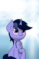 Size: 1366x2048 | Tagged: safe, artist:php142, oc, oc only, oc:purple flix, pony, unicorn, chest fluff, cloud, cute, looking up, male, raised hoof, sky, smiling, solo, sun