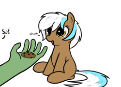 Size: 1289x930 | Tagged: safe, artist:neuro, oc, oc only, oc:anon, oc:frosty hooves, cookie, food, golden eyes, pet, simple background, sitting, transparent background
