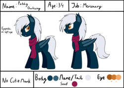 Size: 2800x2000 | Tagged: safe, artist:cloudy95, oc, oc only, oc:patchy darkwing, bat pony, pony, clothes, high res, male, reference sheet, scarf, solo, stallion
