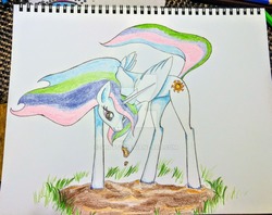 Size: 1024x810 | Tagged: safe, artist:shotsyshotsy, princess celestia, alicorn, pony, g4, cute, cutelestia, dirty, female, grass, horses doing horse things, looking down, mare, missing accessory, mud, raised hoof, smiling, solo, traditional art, watermark