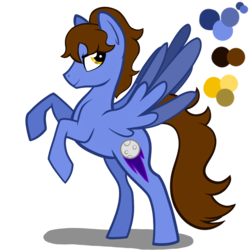 Size: 2000x2000 | Tagged: safe, artist:chelseawest, oc, oc only, oc:celestial comet, pegasus, pony, high res, male, reference sheet, simple background, solo, stallion, transparent background