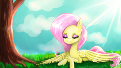 Size: 1920x1080 | Tagged: safe, artist:zomixnu, fluttershy, pony, g4, female, relaxing, solo, tree