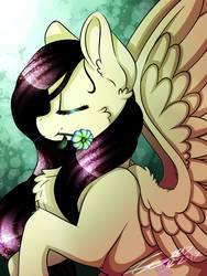 Size: 1200x1600 | Tagged: safe, artist:unwrittenartist, fluttershy, pegasus, pony, g4, bust, chest fluff, eyes closed, female, flower, mouth hold, portrait, profile, smiling, solo, spread wings, wings