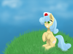 Size: 1600x1200 | Tagged: safe, artist:bleuey, nurse coldheart, nurse snowheart, earth pony, pony, g4, alternate hairstyle, female, grass field, grin, looking up, mare, sitting, smiling, solo