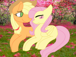 Size: 2488x1872 | Tagged: safe, artist:jonnyman1003, applejack, fluttershy, g4, female, lesbian, ship:appleshy, shipping