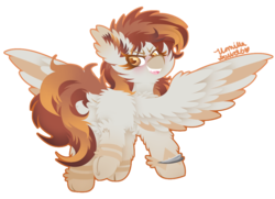 Size: 1080x784 | Tagged: safe, artist:vanillaswirl6, oc, oc only, unnamed oc, pegasus, pony, bracelet, butt, butt fluff, chest fluff, colored pupils, colored wings, colored wingtips, cute, cute little fangs, dock, ear fluff, fangs, fluffy, hoof fluff, jewelry, leg fluff, looking at you, looking back, markings, open mouth, plot, raised leg, simple background, solo, spread wings, transparent background, underhoof, wings