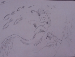 Size: 2344x1777 | Tagged: safe, artist:drawingwithapitoffriendship, changeling, fish, hybrid, seapony (g4), angler seapony, bubble, sketch, traditional art, underwater