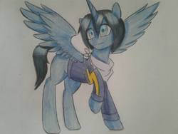 Size: 1600x1200 | Tagged: safe, artist:ponime11, alicorn, pony, clothes, male, noragami, ponified, solo, stallion, traditional art, yato