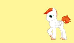 Size: 1280x752 | Tagged: safe, oc, oc only, pegasus, pony, male, simple background, solo, stallion