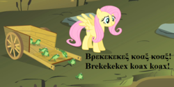 Size: 648x324 | Tagged: safe, edit, edited screencap, editor:korora, screencap, fluttershy, frog, pegasus, pony, feeling pinkie keen, g4, aristophanes, cart, cropped, female, froggy bottom bog, greek, mare, onomatopoeia, solo, the frogs (play)