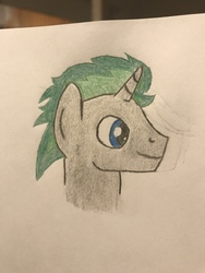 Size: 4032x3024 | Tagged: safe, artist:sirbumpaous, oc, oc only, oc:pixel nocturnus, pony, commission, pencil drawing, solo, traditional art