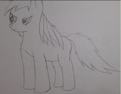 Size: 405x315 | Tagged: artist needed, safe, rainbow dash, g4, female, missing cutie mark, solo, traditional art