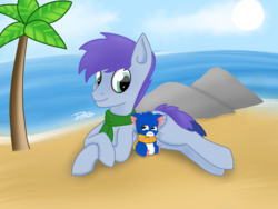Size: 4056x3042 | Tagged: safe, artist:deejayarts, oc, oc only, mouse, pegasus, pony, beach, clothes, scarf