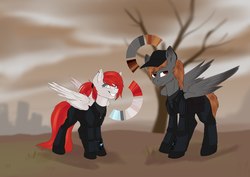 Size: 2560x1810 | Tagged: safe, oc, oc only, oc:unnamed pegasus, fallout equestria