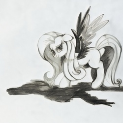 Size: 1073x1073 | Tagged: safe, artist:rupony, fluttershy, pegasus, pony, g4, female, lidded eyes, looking at you, looking sideways, mare, missing cutie mark, monochrome, smiling, solo, spread wings, wingboner, wings