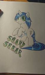 Size: 584x960 | Tagged: safe, artist:annuthecatgirl, oc, oc only, oc:sharp shear, pony, badge, rearing, solo, traditional art