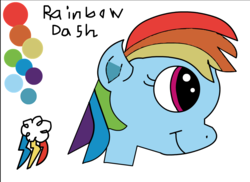 Size: 1082x786 | Tagged: safe, artist:smurfettyblue, derpibooru exclusive, rainbow dash, g4, 1000 hours in ms paint, adobe animate, adobe flash, cutie mark, female, reference sheet, solo