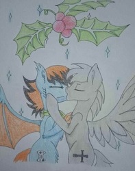 Size: 1586x2012 | Tagged: safe, oc, oc only, oc:blue pixel, oc:silverlining, bat pony, griffon, hybrid, bat pony griffon, gay, holly, holly mistaken for mistletoe, kissing, male, talons, traditional art