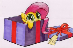 Size: 3434x2276 | Tagged: safe, artist:bbqninja501st, fluttershy, pegasus, pony, g4, advent calendar, box, cute, daaaaaaaaaaaw, female, flutterbox, high res, hnnng, looking at you, mare, peeking, pony in a box, present, shyabetes, solo, traditional art