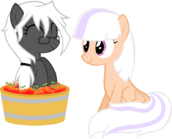 Size: 1765x1422 | Tagged: safe, artist:zacatron94, oc, oc only, oc:captain white, oc:sweep star, pegasus, pony, apple, basket, female, food, mare, pony in a basket, simple background, sitting, transparent background, vector